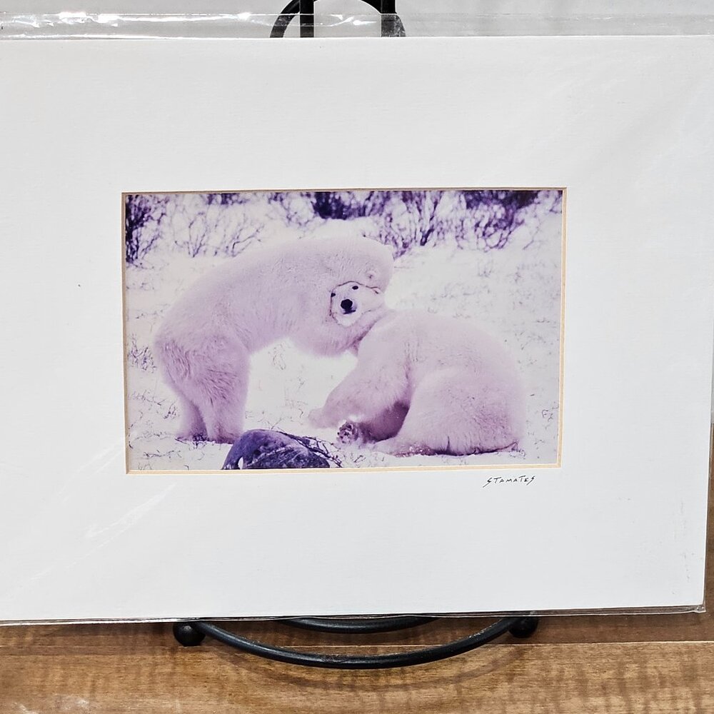 Polar Hug Print by Jim Stamates Collection